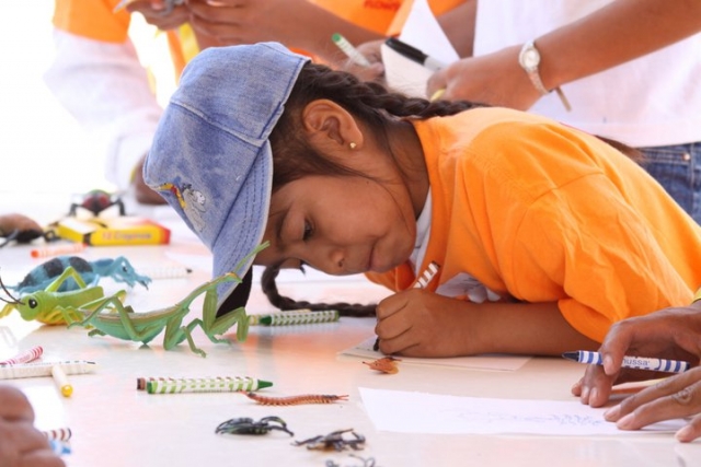  learning about wildlife 